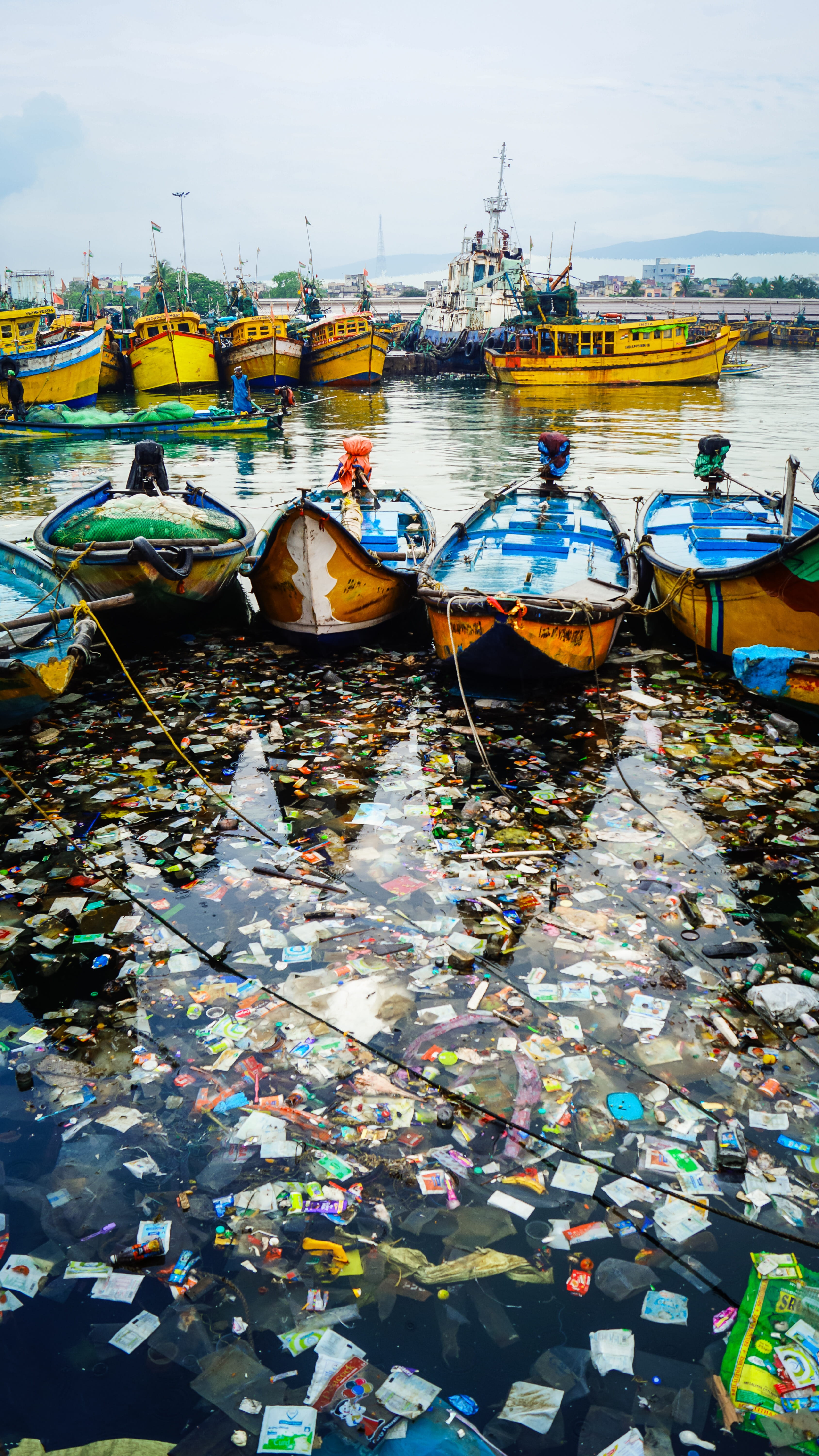 Plastik im Meer einfach erklärt für Kinder